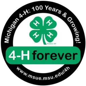 Michigan 4-H Logo